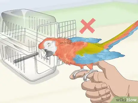 Image titled Treat Chlamydiosis in Lovebirds Step 12