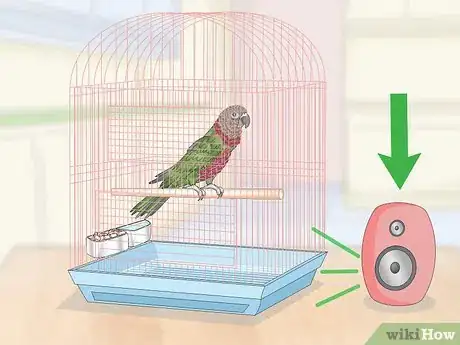 Image titled Teach a Hawk‐Headed Parrot to Speak Step 5