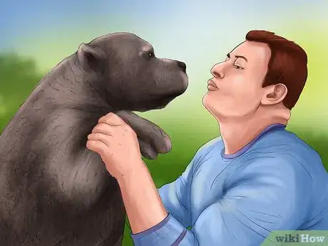 Image titled Keep a Pitbull Step 10