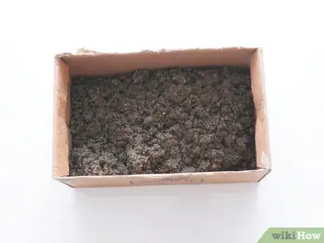 Image titled Store Radishes Step 13