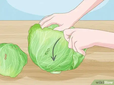 Image titled Harvest Cabbage Step 8