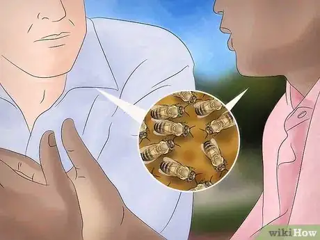 Image titled Buy Honey Bees Step 12