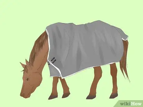 Image titled Measure for a Horse Blanket Step 9