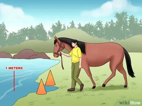Image titled Train a Horse to Walk Through Water Step 7