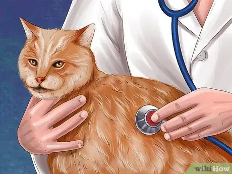 Image titled Protect Your Cat in Summer Step 15