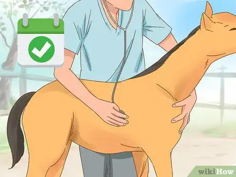 Image titled Care for a Foal Step 5