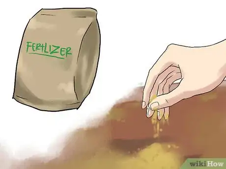 Image titled Grow Winter Onions Step 9