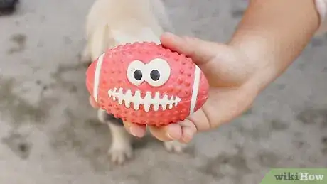 Image titled Help Puppies Learn Separation Skills Step 5