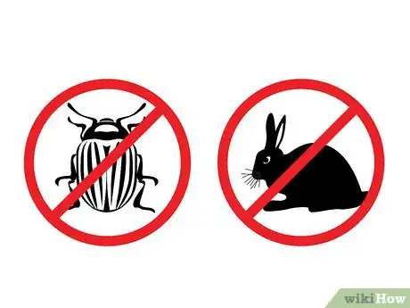 Image titled Grow Vegetables in the Southwest (USA) Step 16