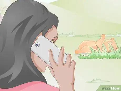 Image titled Approach a Sick or Injured Dog or Cat Step 10