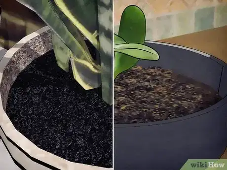 Image titled Choose Plant Soil Step 1