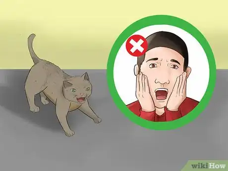 Image titled Stop a Fearful Cat from Biting Step 1