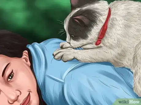 Image titled Understand Your Cat's Behavior Step 7