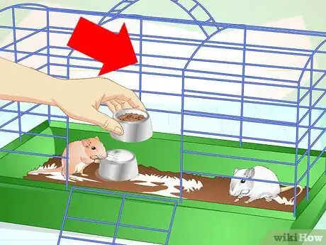 Image titled Tame Your Gerbils Step 8