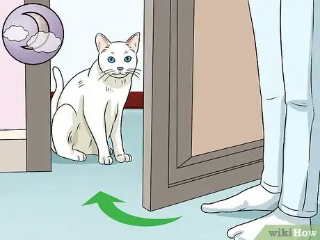 Image titled Deal with a Snoring Cat Step 8