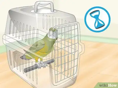 Image titled Deal with a Fearful or Stressed Senegal Parrot Step 19