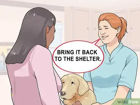Image titled Handle a Dog Given to You As a Gift Step 13