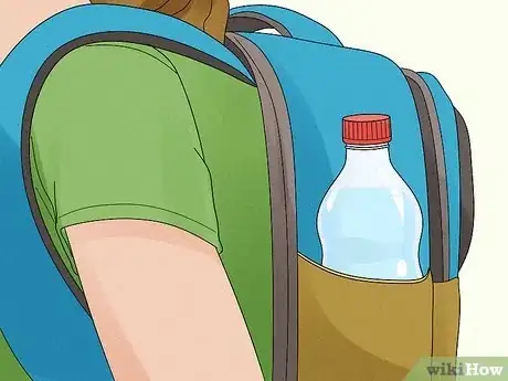 Image titled Travel to Madagascar Step 21