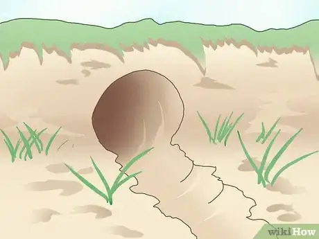 Image titled Trap a Rabbit Step 7
