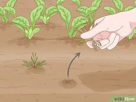 Image titled Start a Garden Step 11