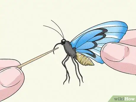 Image titled Make a Butterfly Feeder Step 4