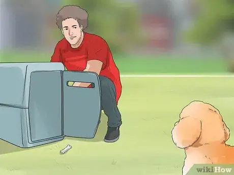 Image titled Know if a Bichon Frise Is the Right Dog Breed for You Step 12