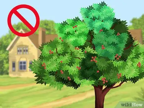 Image titled Keep Bears Away Step 3