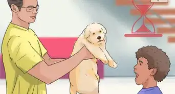 Help Kids Grieving the Death of Their Dog