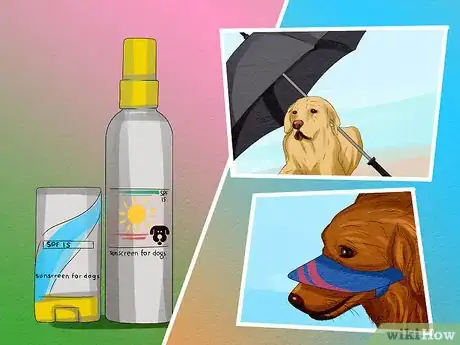 Image titled Take Your Dog to the Beach Step 4