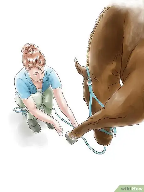 Image titled Stretch a Horse Step 7