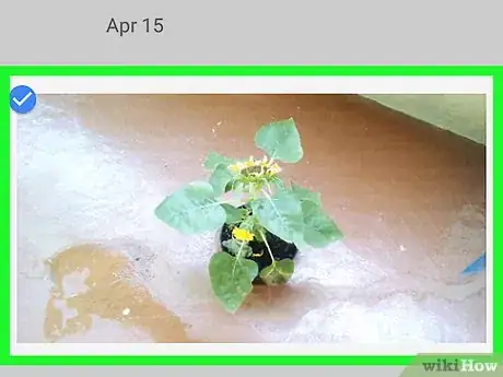 Image titled Merge Albums on Google Photos on Android Step 6