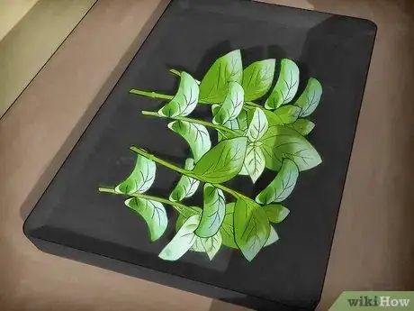 Image titled Plant a Culinary Herb Garden Step 13