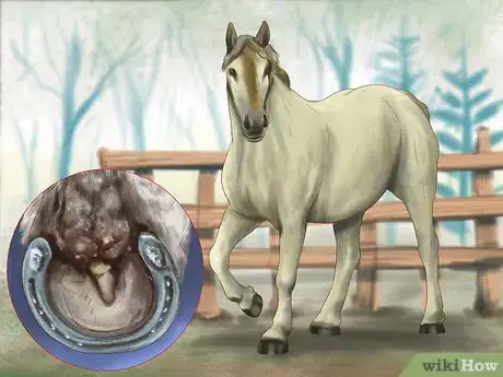 Image titled Maintain Good Hoof Care on Your Horse Step 10