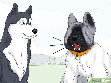 Image titled Identify a Briard Step 15