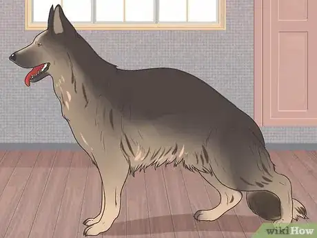 Image titled Diagnose Epilepsy in German Shepherds Step 5