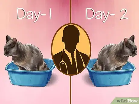 Image titled Treat Diarrhea and Constipation in Dogs and Cats Step 6