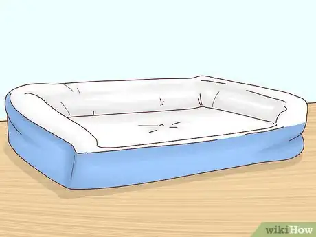 Image titled Care for Boxers Step 10