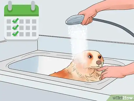 Image titled Protect Floors from Dirty Dog Paws Step 12