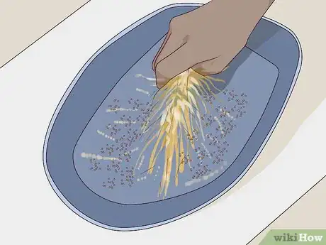 Image titled Grow Mustard Greens Step 11