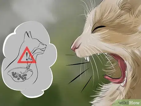 Image titled Tell if a Cat Has a Sore Throat Step 5