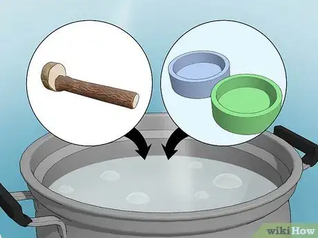 Image titled Look After Pet Birds Step 4