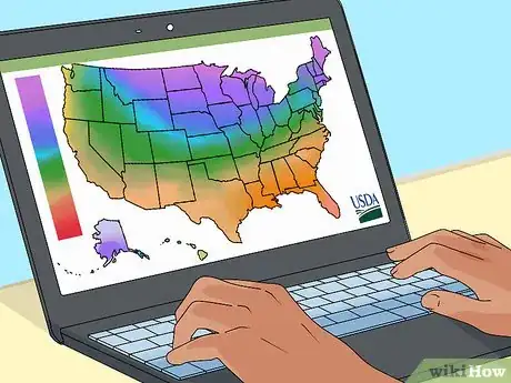 Image titled Plant a Rock Garden Step 16