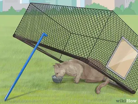 Image titled Capture an Angry or Upset Cat Step 19