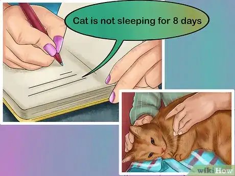 Image titled Deal with Cognitive Disorders in Cats Step 6