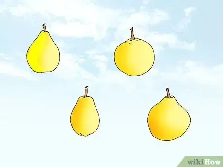 Image titled Grow Quince Step 2