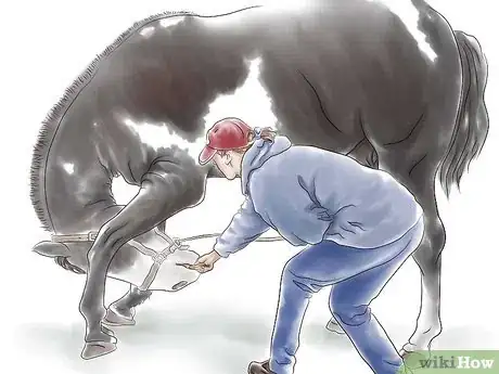 Image titled Stretch a Horse Step 5
