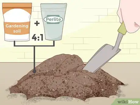 Image titled Plant Succulents Indoors Step 3