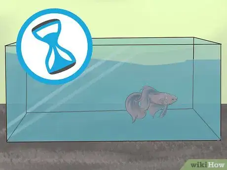 Image titled Transport Fish Step 4