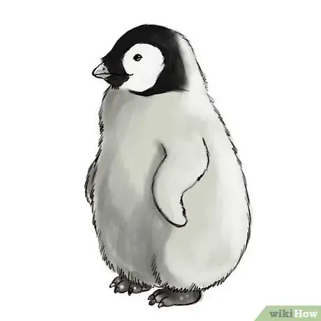 Image titled Baby penguin Intro