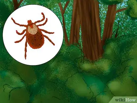 Image titled Prevent Tick Bites While Camping Step 1